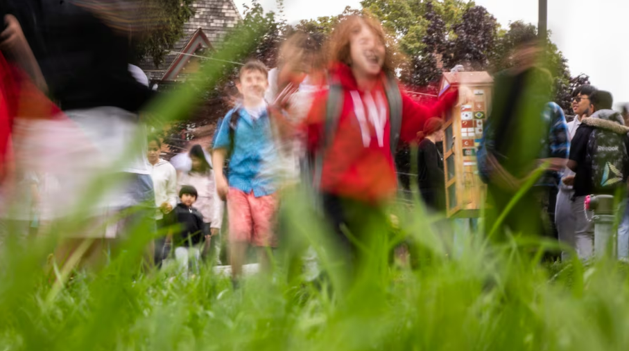 CBC The National: Lower test scores for Grade 6 middle schoolers revives debate about how schools are split