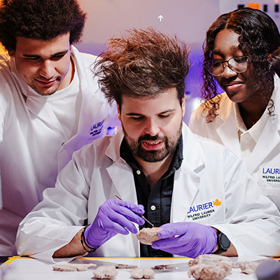 Deciphering the brain: Building understanding of the body's most complex organ.