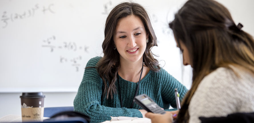 Two students studying